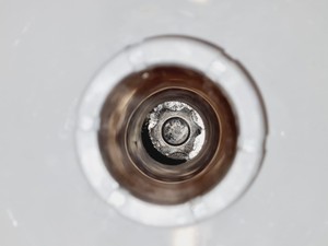 Thumbnail image of Statebourne Bio 20 Liquid Nitrogen Storage Dewar Tank Lab