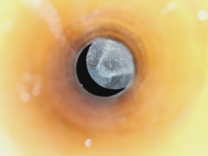 Thumbnail image of Statebourne Cryolab 20 Liquid Nitrogen Storage Dewar Lab