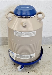 Thumbnail image of Taylor-Wharton 18HC Liquid Nitrogen Sample Storage Dewar Lab
