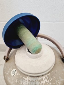 Thumbnail image of Taylor-Wharton 10LD Liquid Nitrogen Dewar Lab