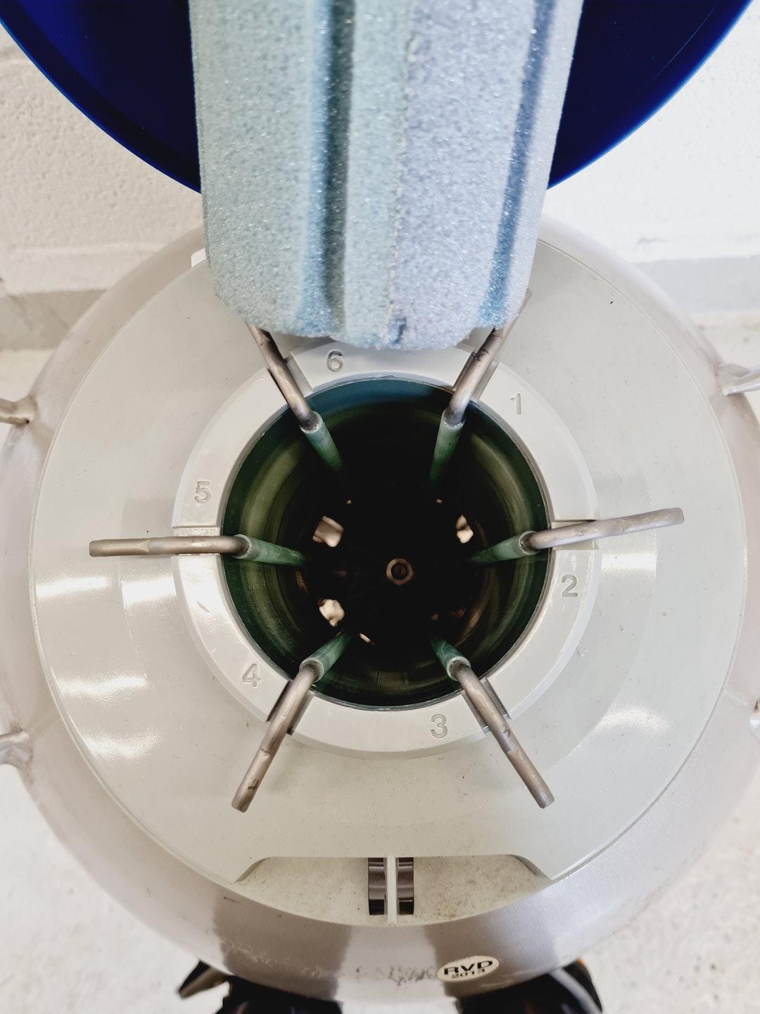 Image of Taylor-Wharton HC34 Sample Storage Liquid Nitrogen Dewar Tank
