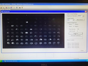 Thumbnail image of Applied Biosystems 7300 Real Time PCR System with PC & Software Lab