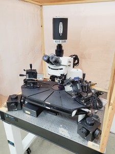 Thumbnail image of Olympus BX51WIF Fluorescence Microscope System w/ Newport Optics Table Lab