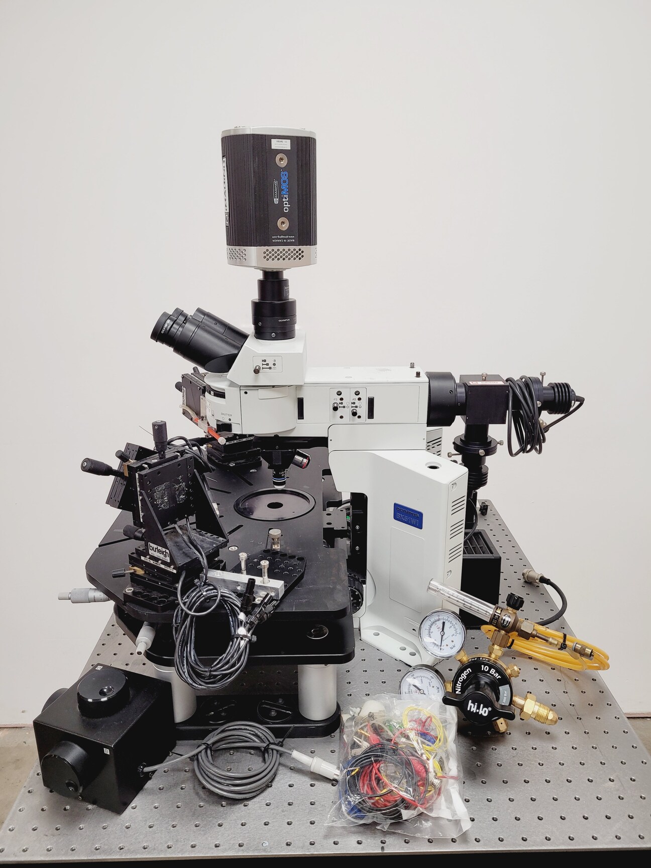 Image of Olympus BX51WIF Fluorescence Microscope System w/ Newport Optics Table Lab