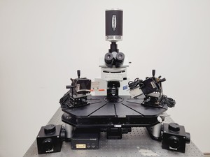 Thumbnail image of Olympus BX51WIF Fluorescence Microscope System w/ Newport Optics Table Lab