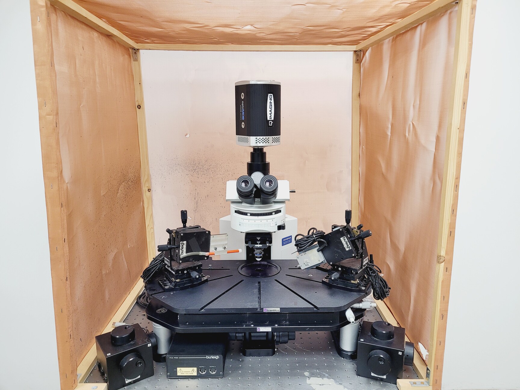 Image of Olympus BX51WIF Fluorescence Microscope System w/ Newport Optics Table Lab