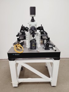 Thumbnail image of Olympus BX51WIF Fluorescence Microscope System w/ Newport Optics Table Lab