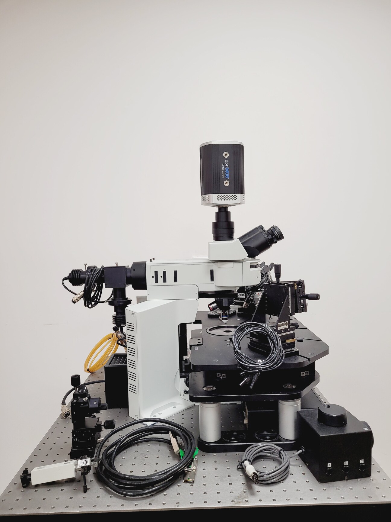 Image of Olympus BX51WIF Fluorescence Microscope System w/ Newport Optics Table Lab