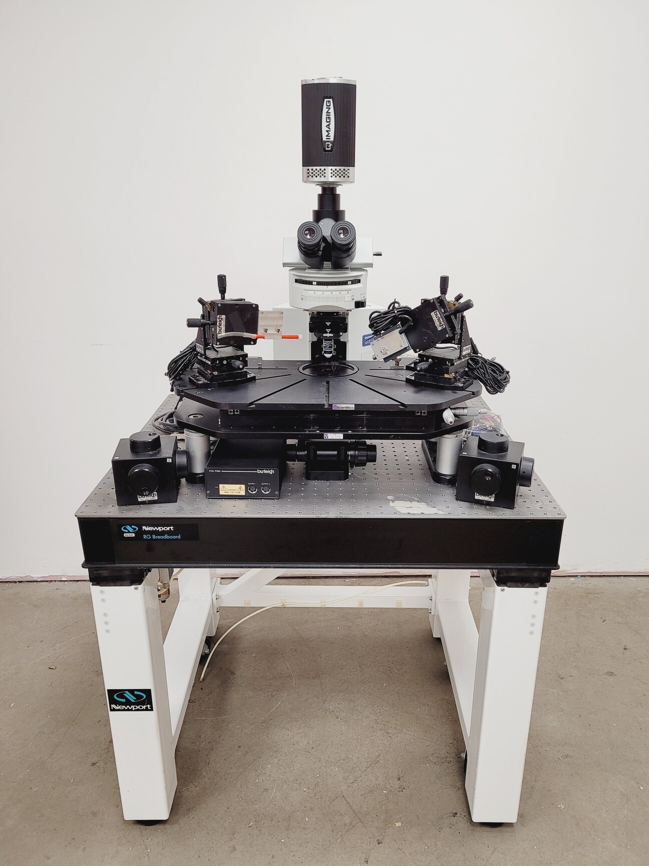 Image of Olympus BX51WIF Fluorescence Microscope System w/ Newport Optics Table Lab