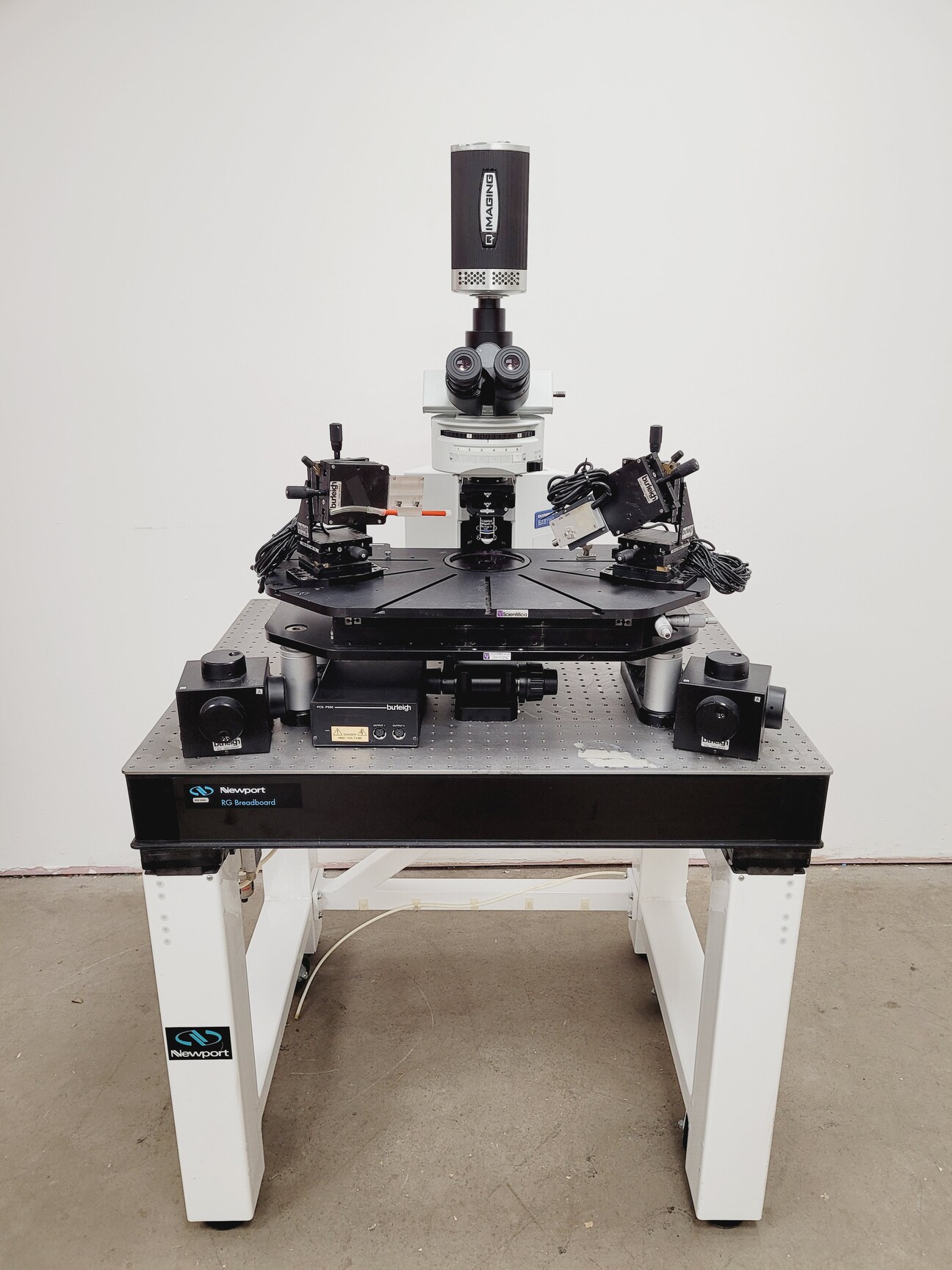 Image of Olympus BX51WIF Fluorescence Microscope System w/ Newport Optics Table Lab