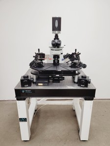 Thumbnail image of Olympus BX51WIF Fluorescence Microscope System w/ Newport Optics Table Lab