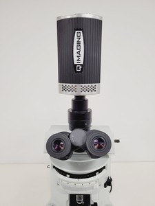 Thumbnail image of Olympus BX51WIF Fluorescence Microscope System w/ Newport Optics Table Lab