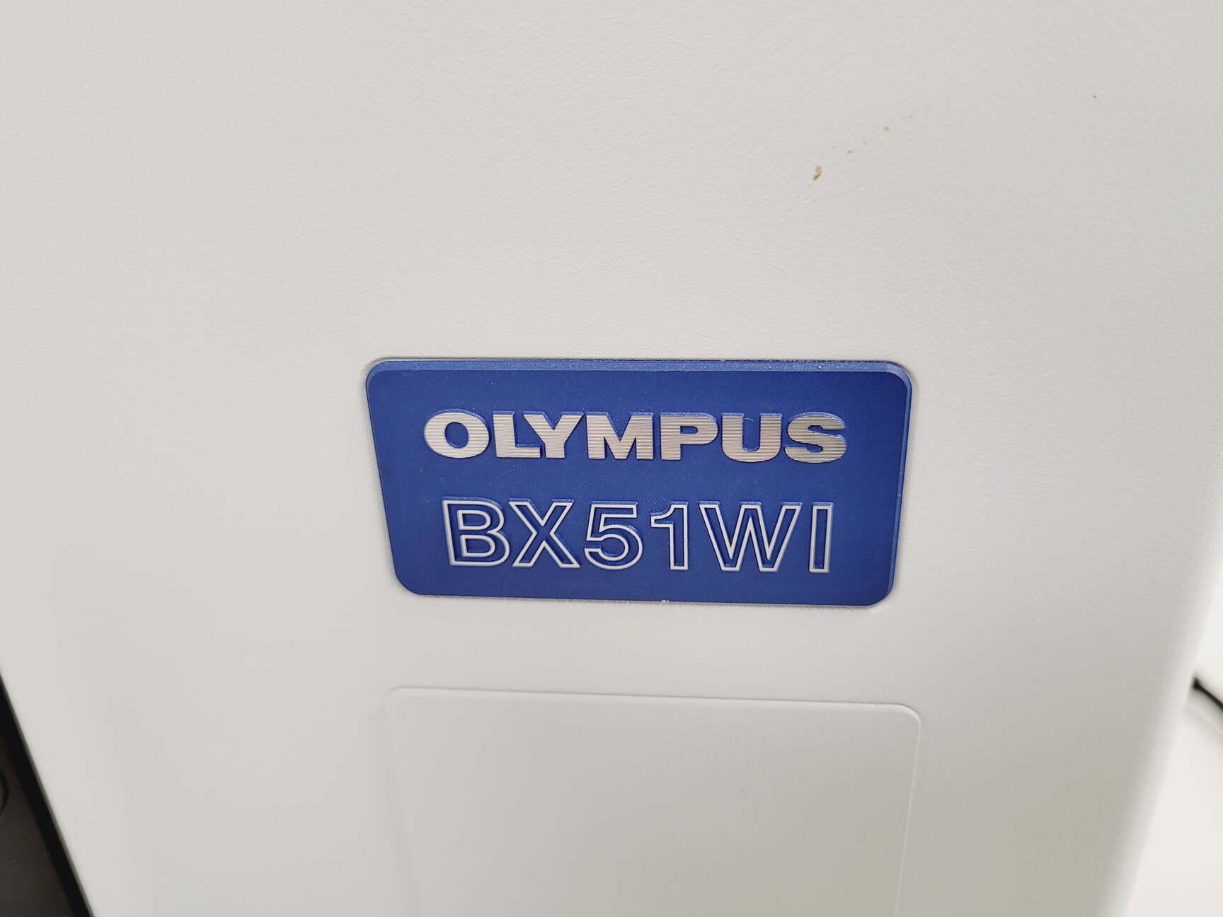 Image of Olympus BX51WIF Fluorescence Microscope System w/ Newport Optics Table Lab