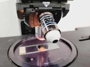 Thumbnail image of Olympus BX51WIF Fluorescence Microscope System w/ Newport Optics Table Lab