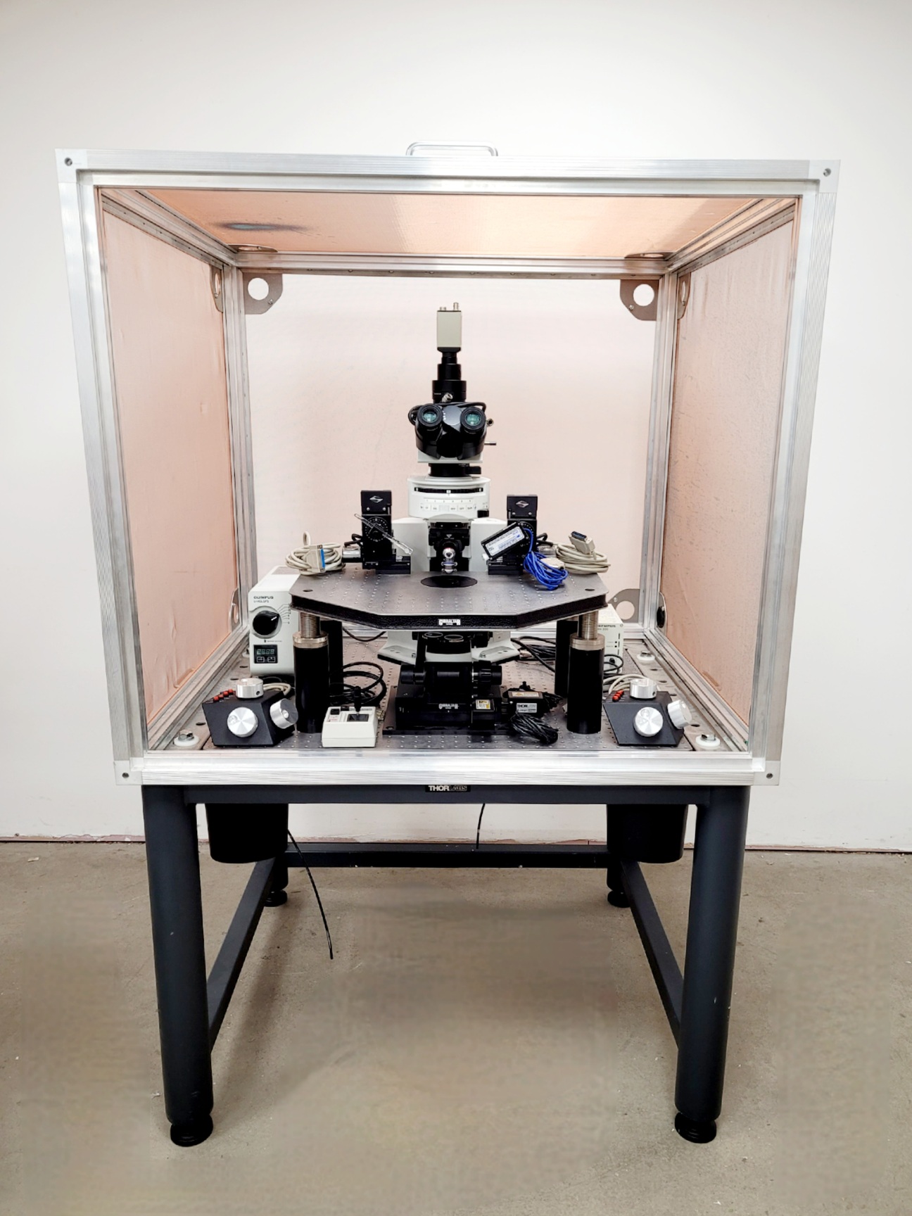 Image of Olympus BX51WIF Fluorescence Microscope System with ThorLabs Optics Table Lab