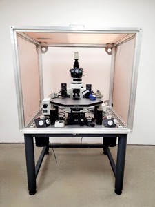 Thumbnail image of Olympus BX51WIF Fluorescence Microscope System with ThorLabs Optics Table Lab