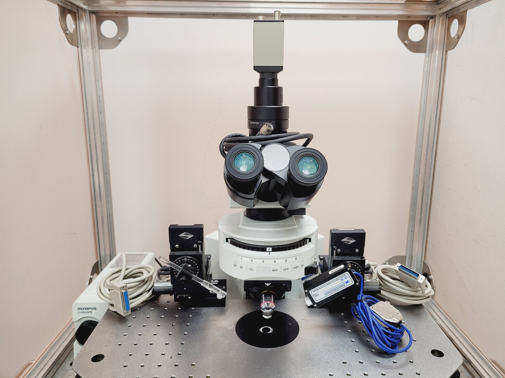 Image of Olympus BX51WIF Fluorescence Microscope System with ThorLabs Optics Table Lab