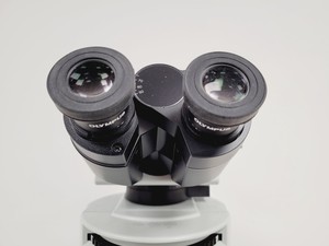 Thumbnail image of Olympus BX51WIF Fluorescence Microscope System with ThorLabs Optics Table Lab