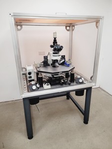 Thumbnail image of Olympus BX51WIF Fluorescence Microscope System with ThorLabs Optics Table Lab