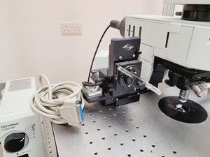 Thumbnail image of Olympus BX51WIF Fluorescence Microscope System with ThorLabs Optics Table Lab