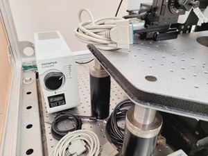 Thumbnail image of Olympus BX51WIF Fluorescence Microscope System with ThorLabs Optics Table Lab
