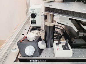 Thumbnail image of Olympus BX51WIF Fluorescence Microscope System with ThorLabs Optics Table Lab