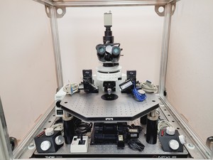 Thumbnail image of Olympus BX51WIF Fluorescence Microscope System with ThorLabs Optics Table Lab