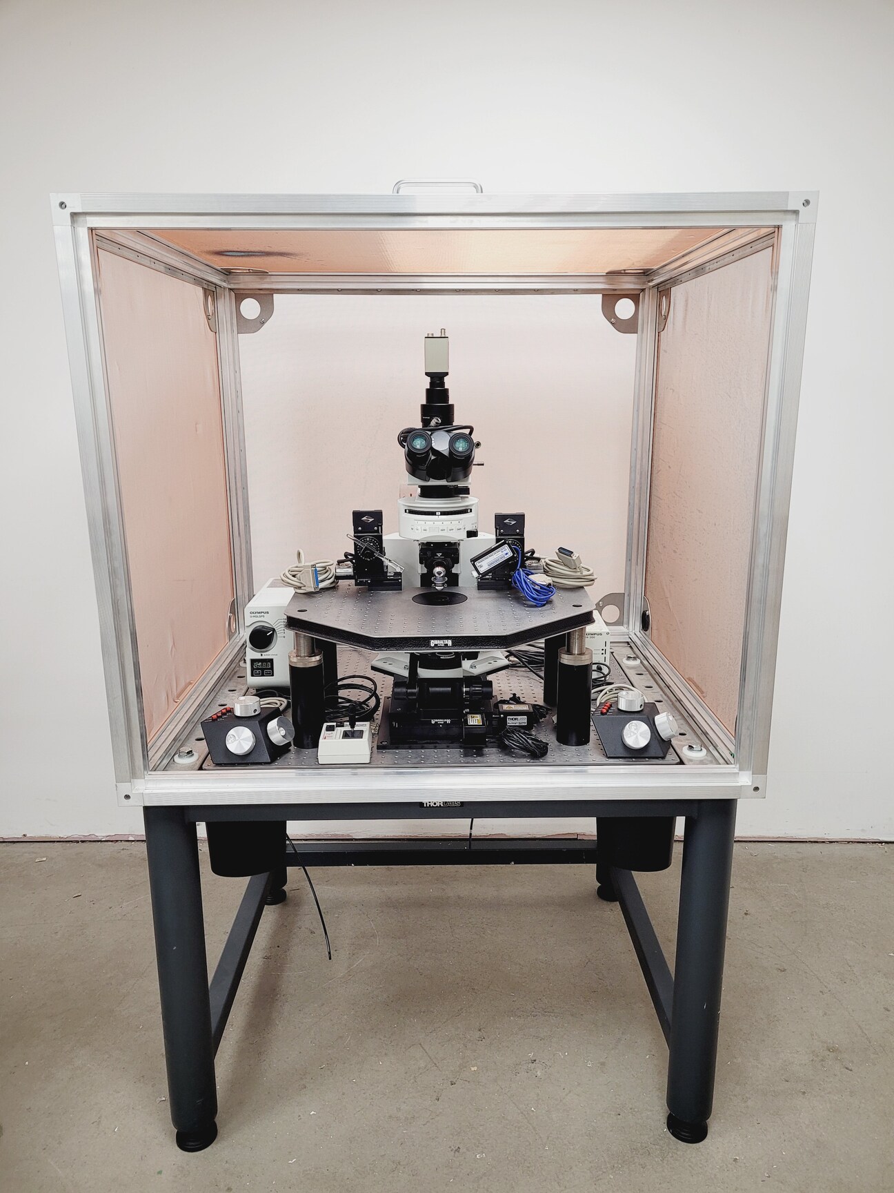 Image of Olympus BX51WIF Fluorescence Microscope System with ThorLabs Optics Table Lab