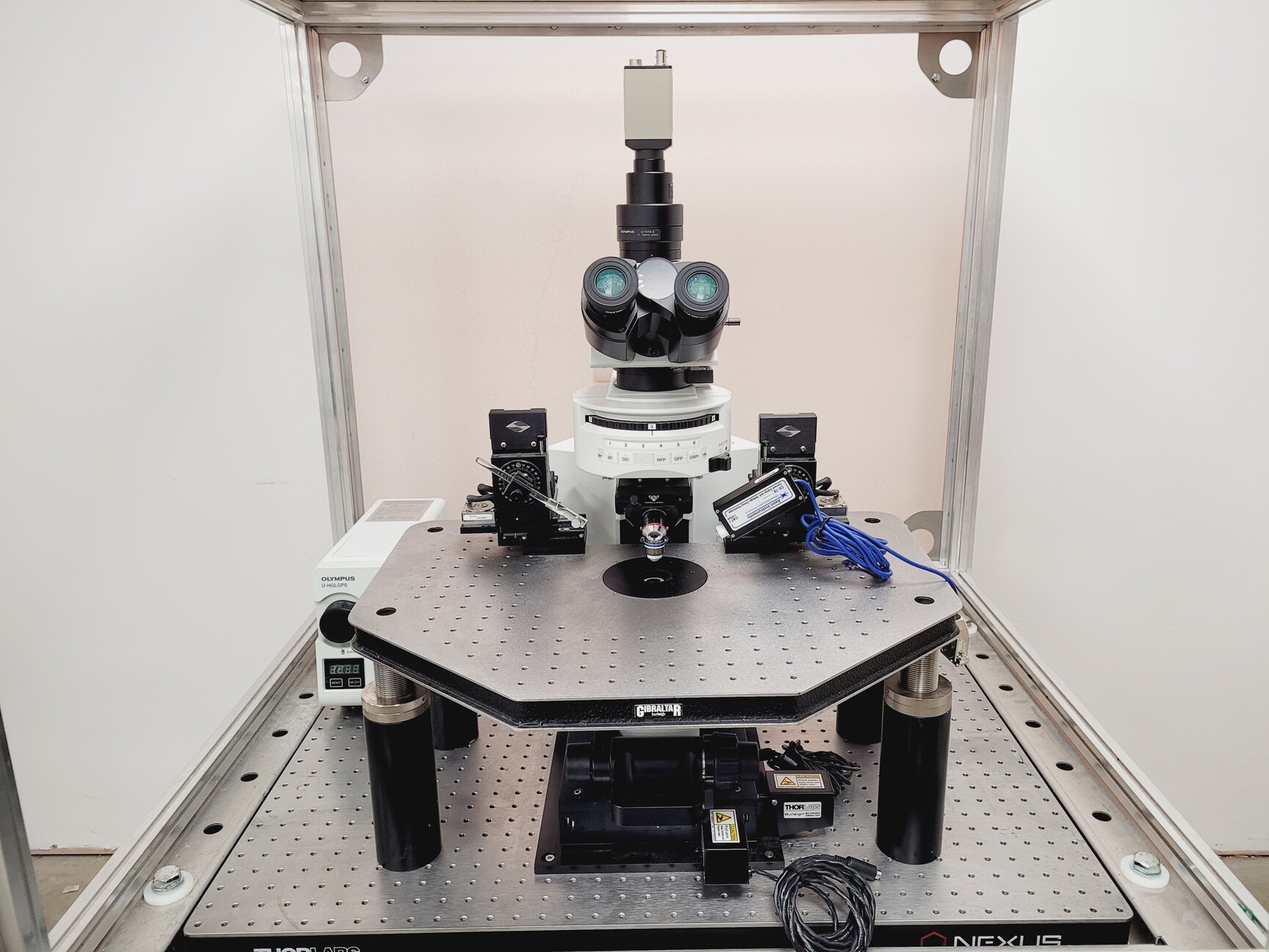 Image of Olympus BX51WIF Fluorescence Microscope System with ThorLabs Optics Table Lab