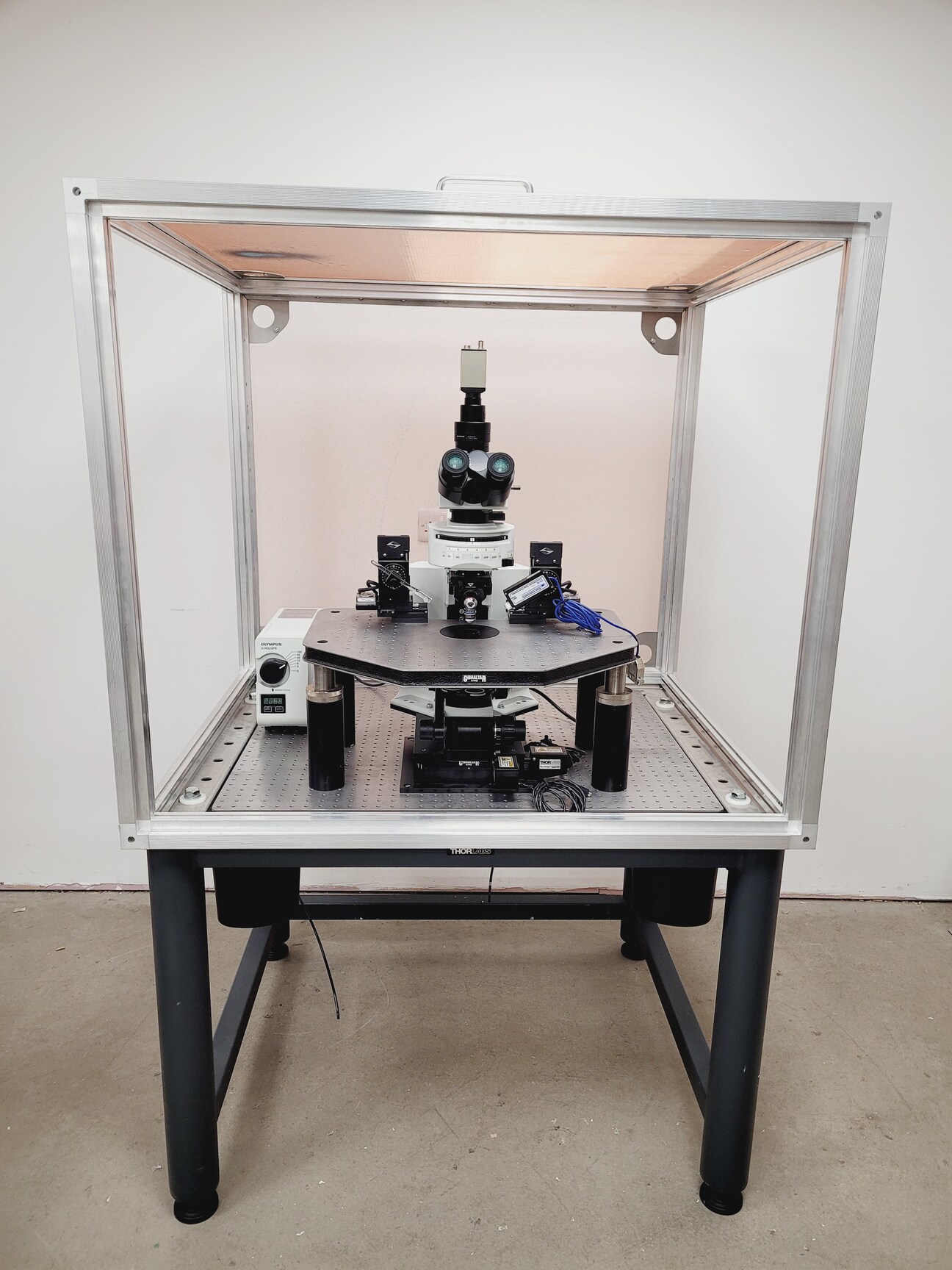 Image of Olympus BX51WIF Fluorescence Microscope System with ThorLabs Optics Table Lab
