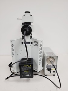 Thumbnail image of Olympus BX51WIF Fluorescence Microscope System with ThorLabs Optics Table Lab
