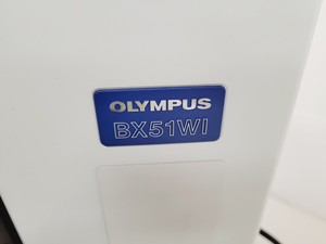 Thumbnail image of Olympus BX51WIF Fluorescence Microscope System with ThorLabs Optics Table Lab