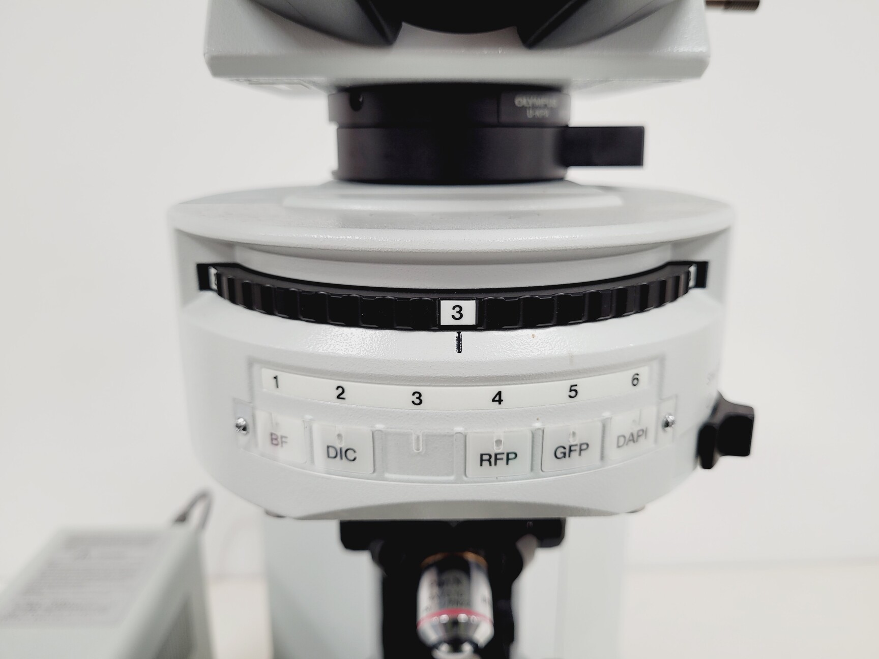 Image of Olympus BX51WIF Fluorescence Microscope System with ThorLabs Optics Table Lab