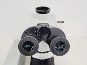 Thumbnail image of Olympus BX51WIF Fluorescence Microscope System with ThorLabs Optics Table Lab