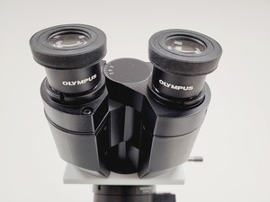 Thumbnail image of Olympus BX51WIF Fluorescence Microscope System with ThorLabs Optics Table Lab