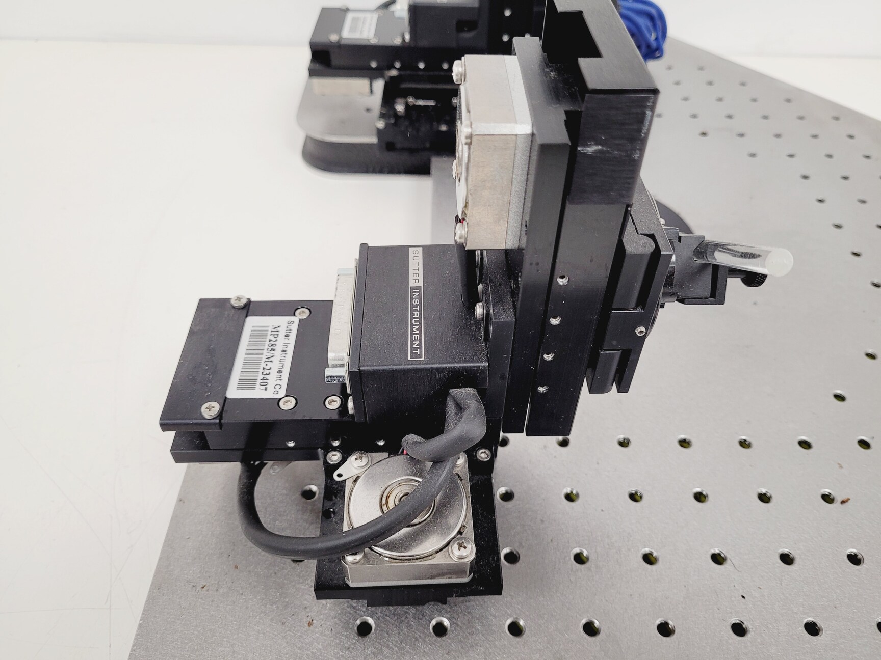 Image of Olympus BX51WIF Fluorescence Microscope System with ThorLabs Optics Table Lab