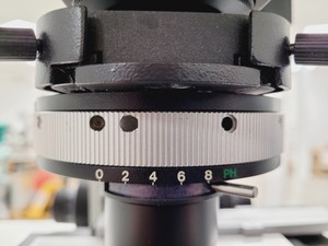 Thumbnail image of Leitz Labovert FS Inverted Microscope with Light Source and 3 x Objectives Lab
