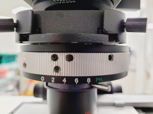 Thumbnail image of Leitz Labovert FS Inverted Microscope with Light Source and 3 x Objectives Lab