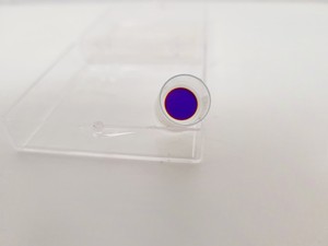 Thumbnail image of Coherent Model 599 Single Frequency Dye Laser System Lab
