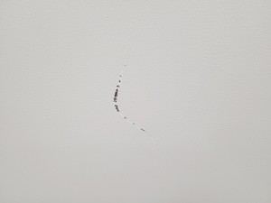 Thumbnail image of High-Q femtoREGEN Class 4 Laser Model IC-1030-1000 Yb HR REG AMP SHG-THG Faulty