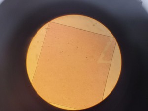 Thumbnail image of Olympus IMT-2 Inverted Research Microscope with 4 x Objectives Lab