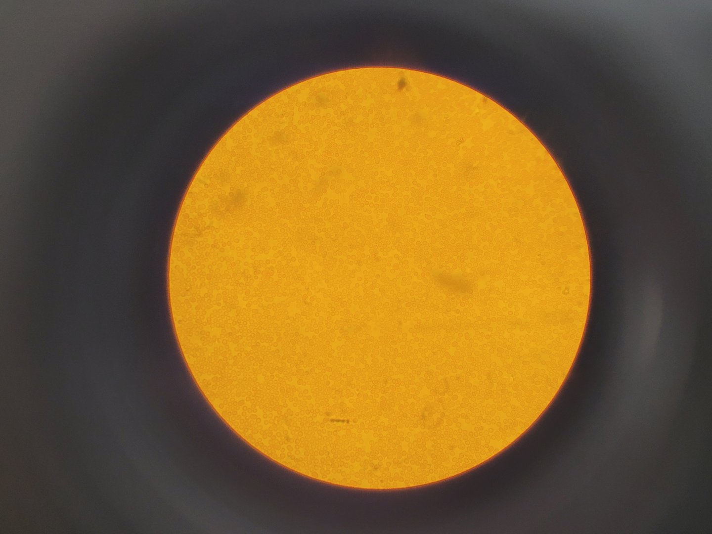 Image of Olympus IMT-2 Inverted Research Microscope with 4 x Objectives Lab
