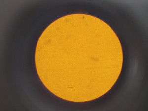 Thumbnail image of Olympus IMT-2 Inverted Research Microscope with 4 x Objectives Lab