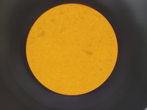 Thumbnail image of Olympus IMT-2 Inverted Research Microscope with 4 x Objectives Lab
