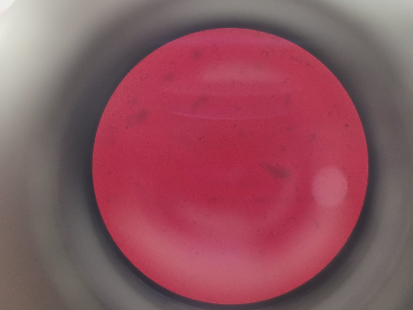 Image of Olympus IMT-2 Inverted Research Microscope with 4 x Objectives Lab