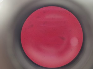 Thumbnail image of Olympus IMT-2 Inverted Research Microscope with 4 x Objectives Lab
