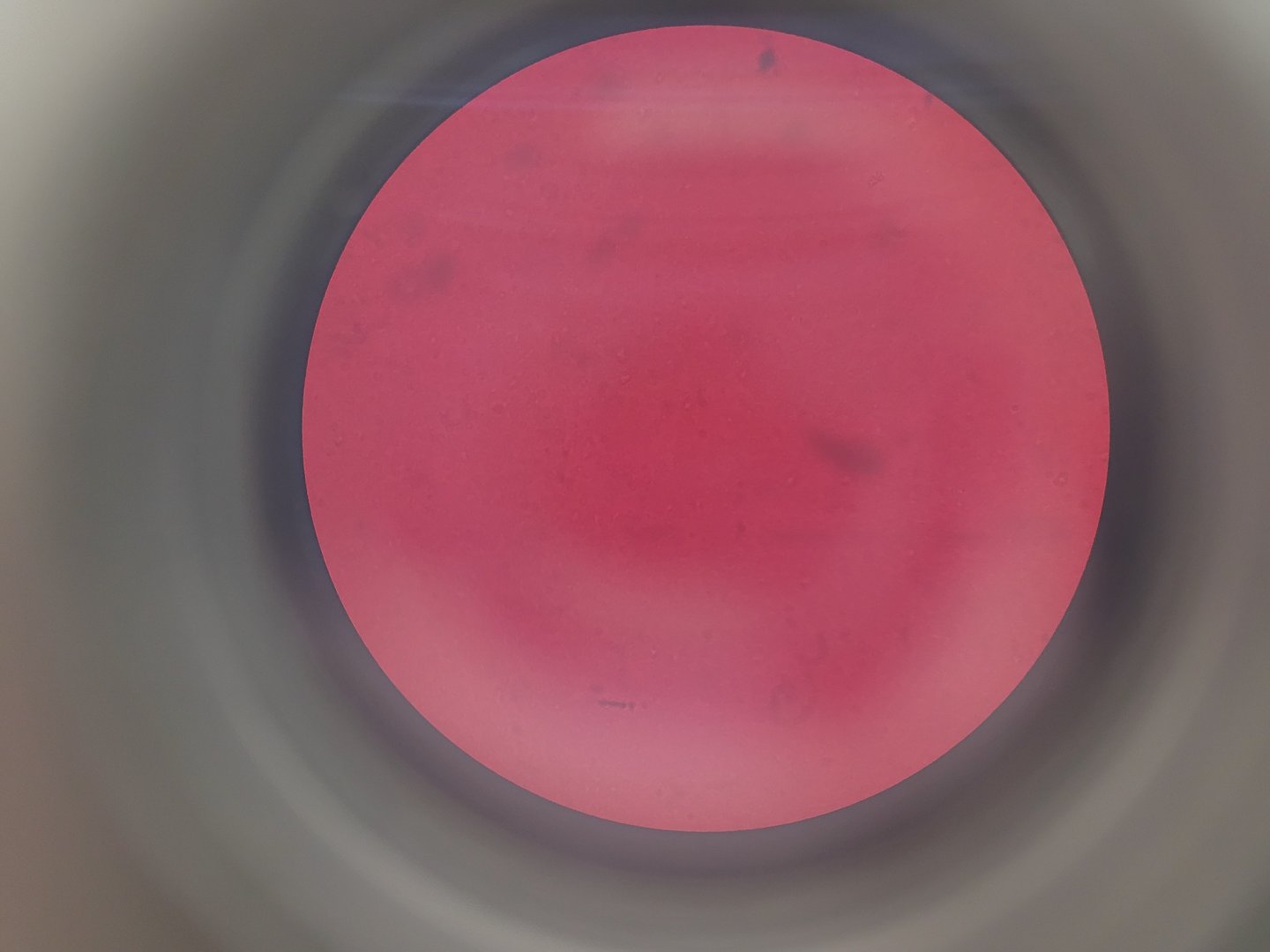 Image of Olympus IMT-2 Inverted Research Microscope with 4 x Objectives Lab