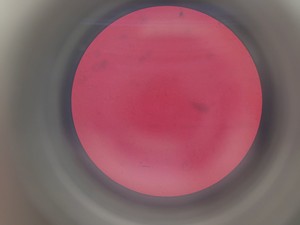 Thumbnail image of Olympus IMT-2 Inverted Research Microscope with 4 x Objectives Lab
