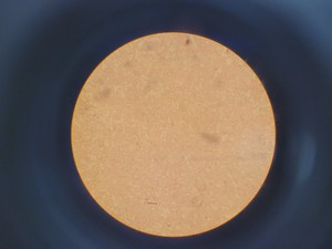 Thumbnail image of Olympus IMT-2 Inverted Research Microscope with 4 x Objectives Lab
