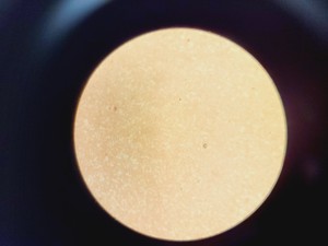 Thumbnail image of Carl Zeiss Axiovert 40 CFL Microscope w/ 3 x Objectives Lab